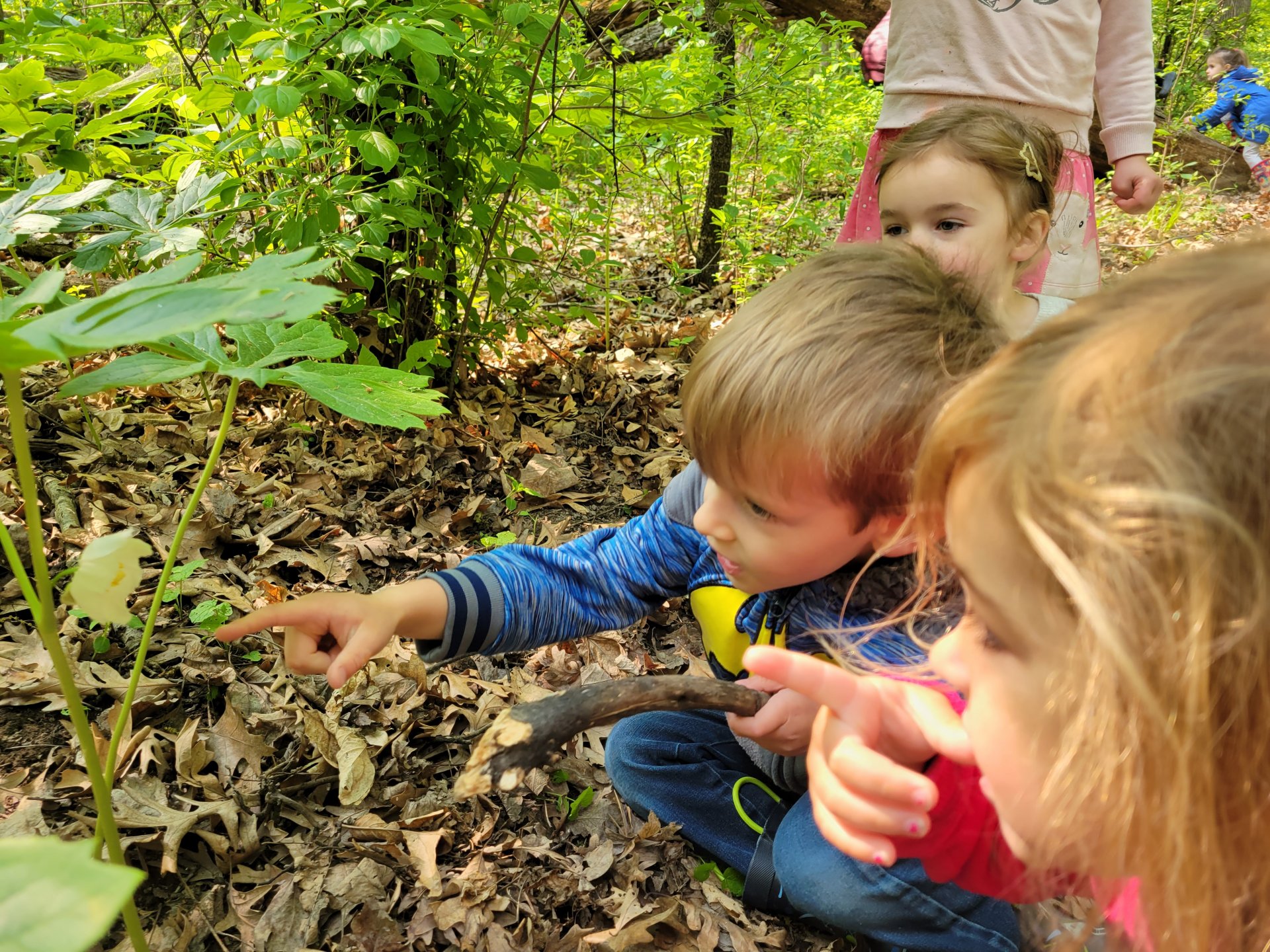 preprimary student outside