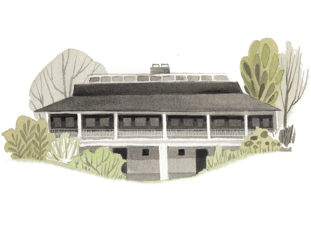 Three gymnasiums