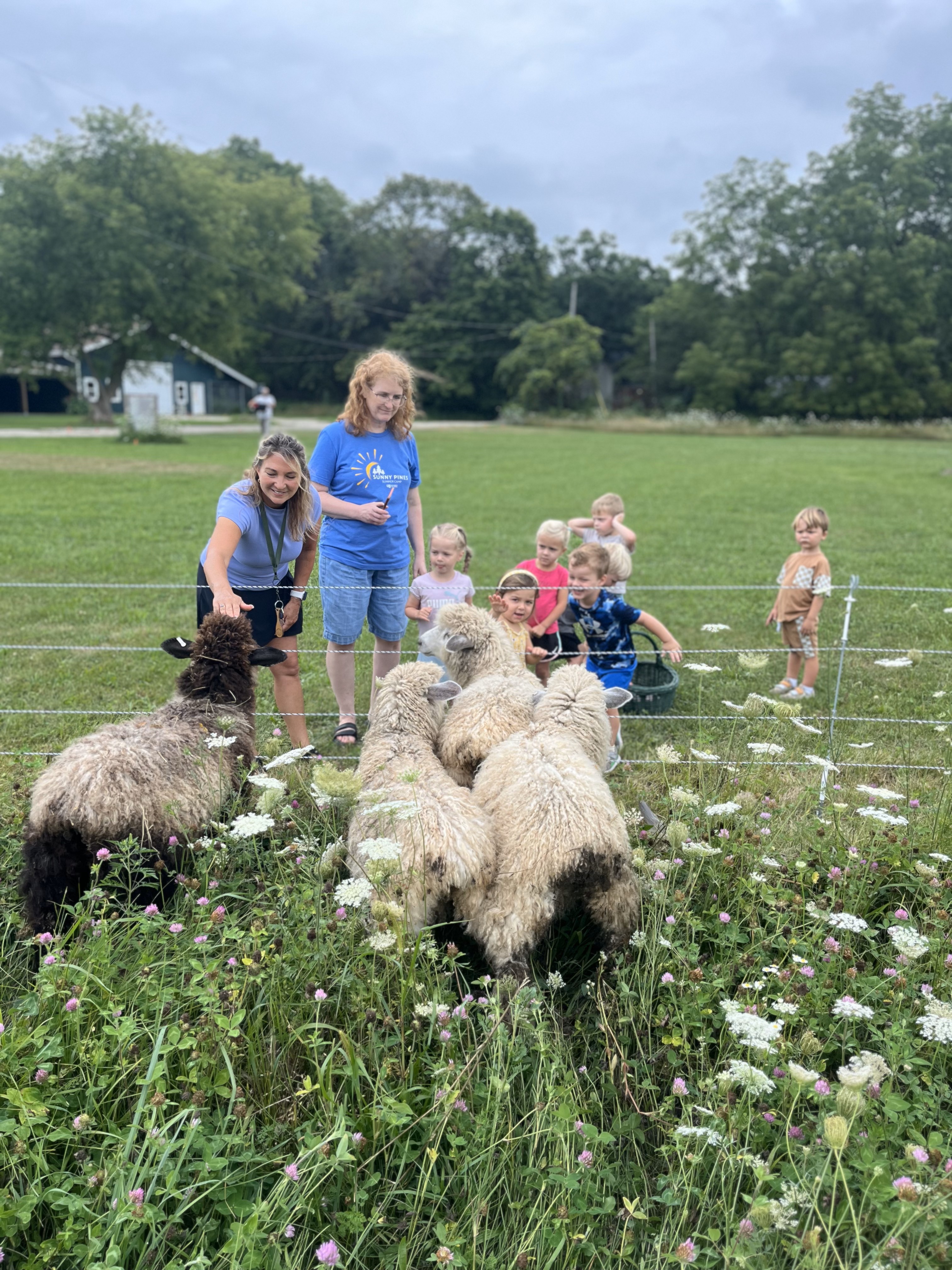 Farm to Table 7
