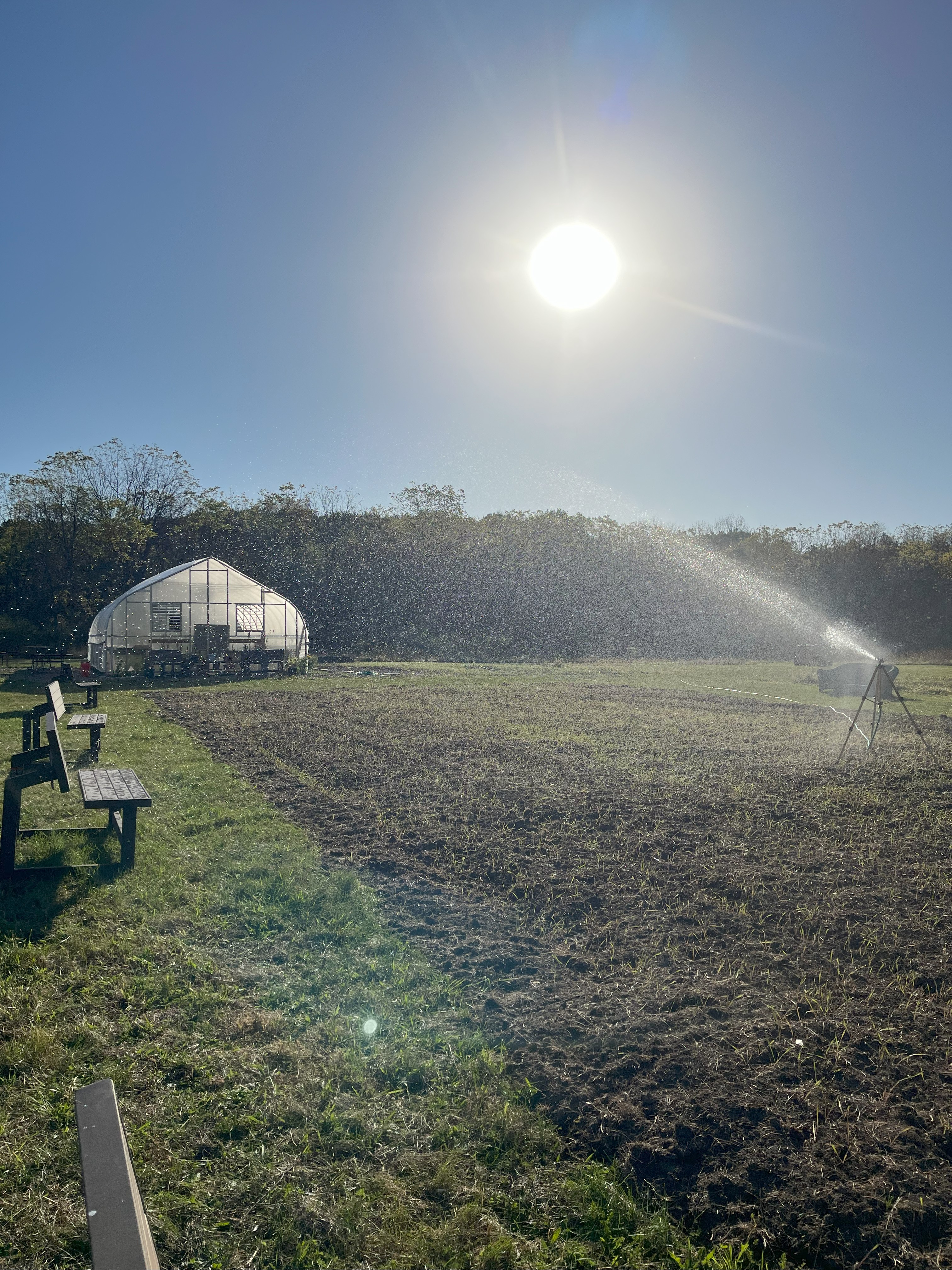 Farm to Table 6