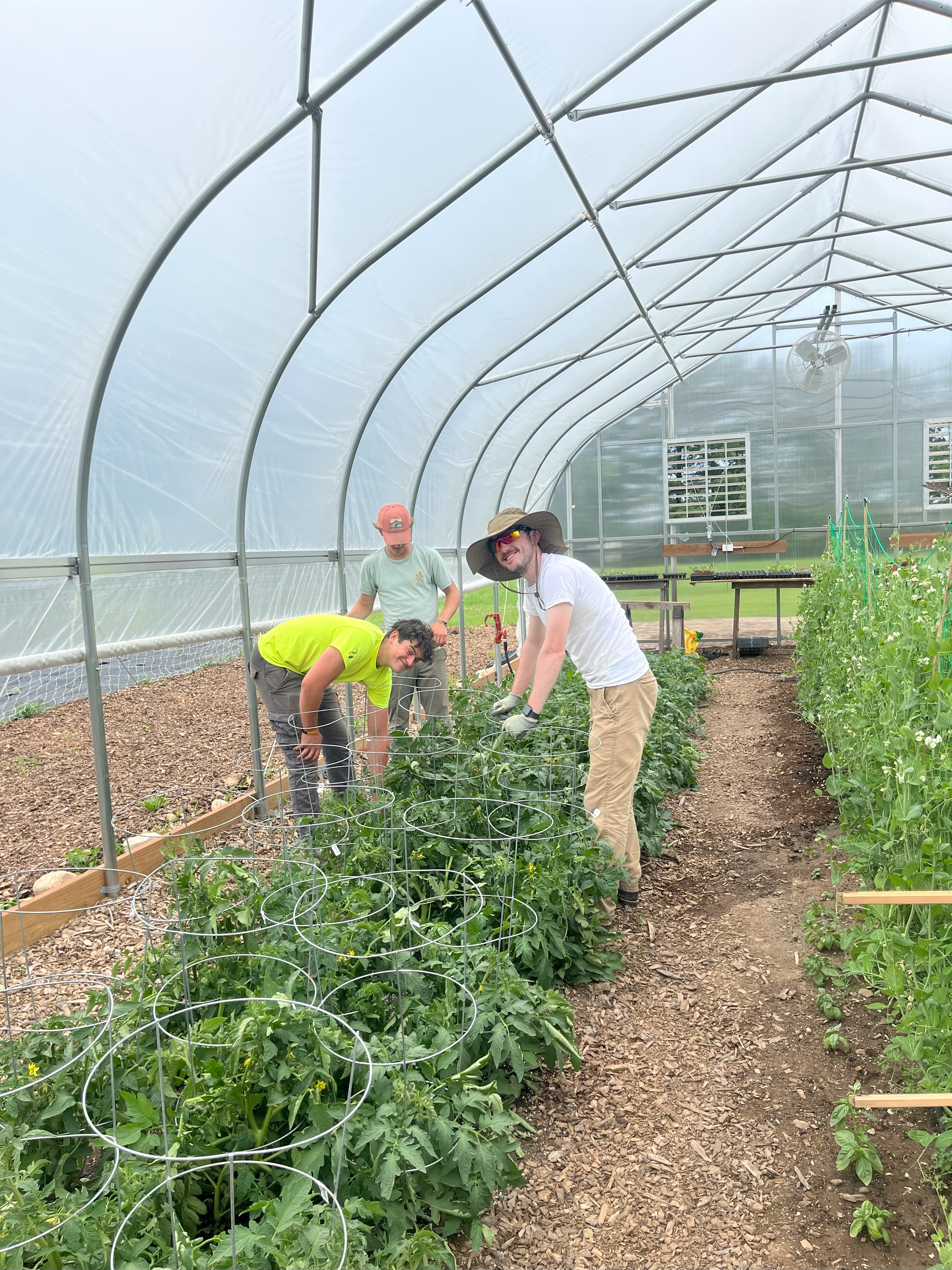 Farm to Table 12