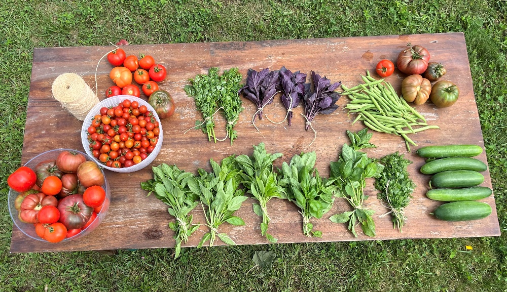 Farm to Table 1